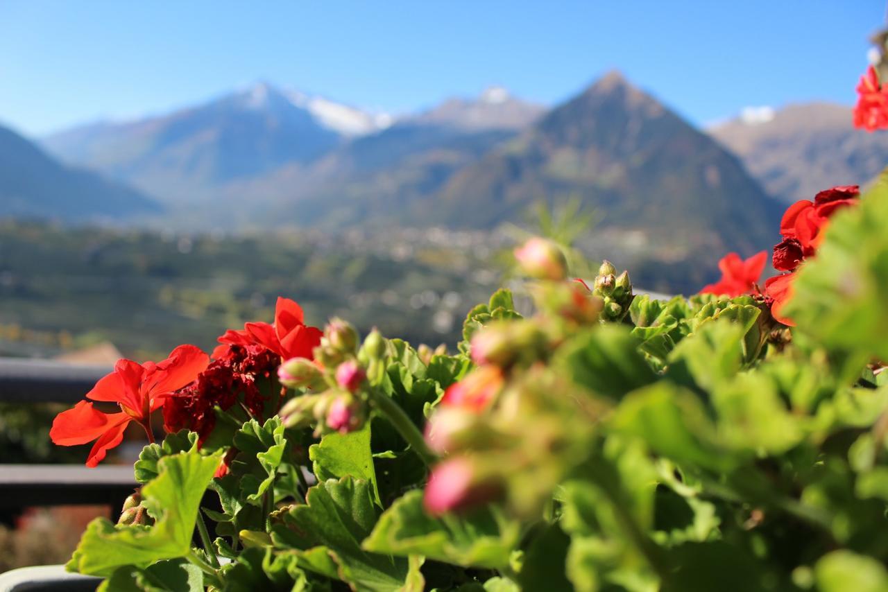 Schenna Garni Eden Bed&Breakfast Dış mekan fotoğraf