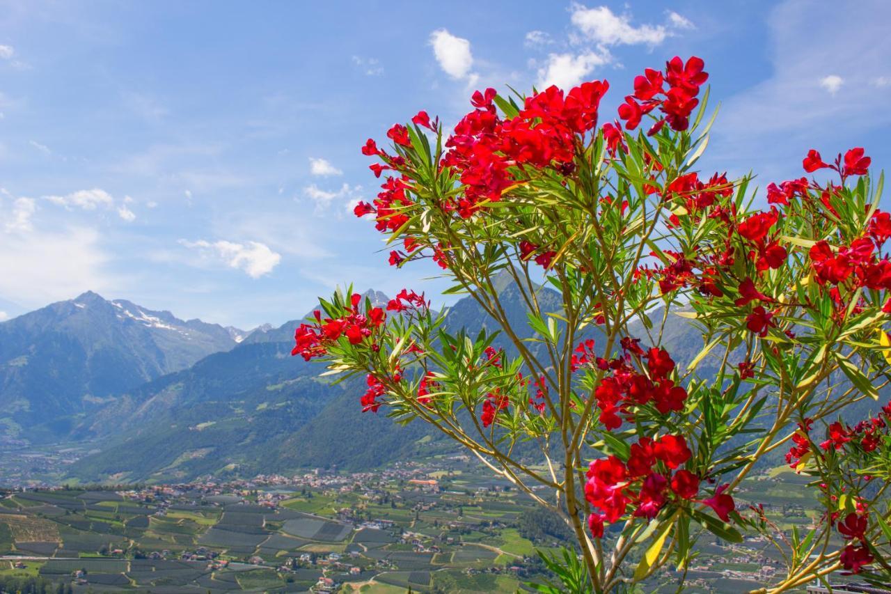 Schenna Garni Eden Bed&Breakfast Dış mekan fotoğraf