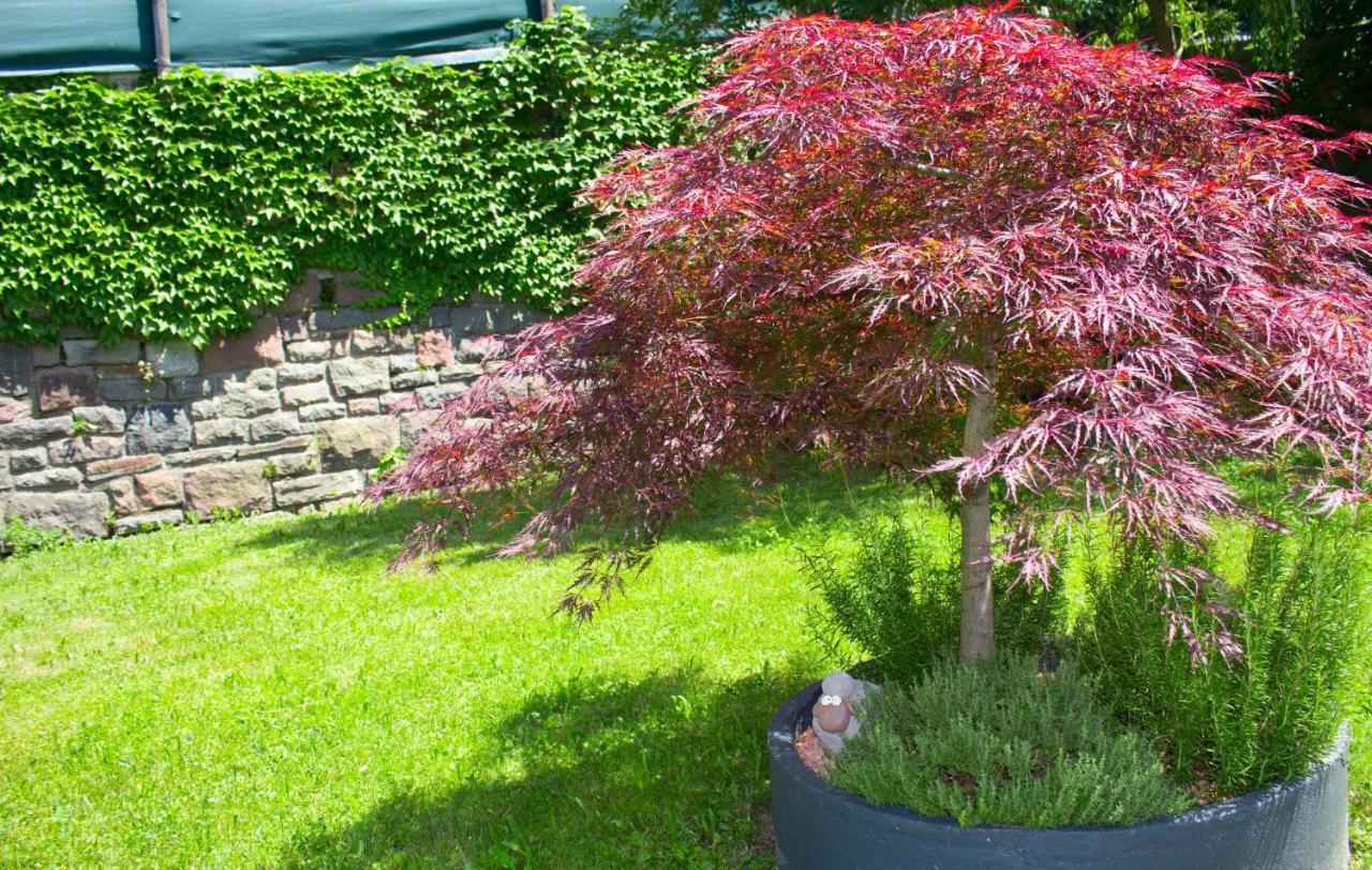 Schenna Garni Eden Bed&Breakfast Dış mekan fotoğraf